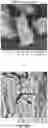 Fig. 08 - METHODS FOR EXTRACTING LITHIUM FROM SPODUMENE