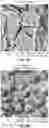 Fig. 10 - METHODS FOR EXTRACTING LITHIUM FROM SPODUMENE