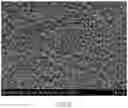 Fig. 10 - Advanced electrodeposited copper foil having island-shaped microstructures and copper clad laminate using the same