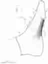 Fig. 04 - Knit sock with targeted compression zone