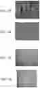 Fig. 05 - Fiber sheet and method for manufacturing same