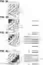 Fig. 07 - Non-transitory computer-readable medium and method of generating embroidery data