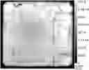 Fig. 01 - Method for photoluminescence measurement of a sample