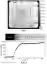 Fig. 02 - Method for photoluminescence measurement of a sample