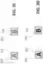 Fig. 09 - Animated optical security feature