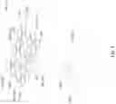 Fig. 04 - System and method for automated modular illumination and deployment
