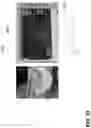 Fig. 23 - Directly photo-patternable, stretchable, electrically conductive polymer