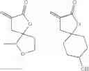 Fig. 42 - Actinic-ray-sensitive or radiation-sensitive resin composition, resist film, pattern formation method, and method for manufacturing electronic device