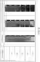 Fig. 03 - ELECTROPHOTOGRAPHIC COMPOSITION