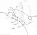 Fig. 01 - Air bearings