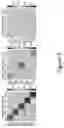 Fig. 06 - Eye tracking apparatuses configured for degrading iris authentication