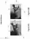 Fig. 09 - Eye tracking apparatuses configured for degrading iris authentication