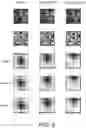 Fig. 15 - Calculation method of correlation search window ignoring some pixel data and navigation device using the same