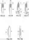 Fig. 04 - Active stylus