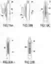 Fig. 05 - Active stylus