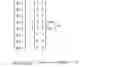 Fig. 02 - Mechanical deflection compensation for a capacitive touch input device