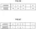 Fig. 28 - Detection device and display device