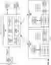 Fig. 06 - Using multidimensional metadata tag sets to determine resource allocation in a distributed computing environment