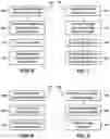 Fig. 04 - Memory module data object processing systems and methods