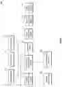 Fig. 09 - Automating solving NP problems in annealer systems