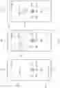 Fig. 06 - Apparatus and method for transmitting personal information using automatic response system