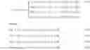 Fig. 08 - Method and system for minimizing earthwork volumes
