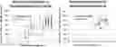 Fig. 01 - Quantitative structural assay of a nerve graft