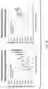 Fig. 07 - Quantitative structural assay of a nerve graft