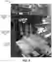 Fig. 06 - Culture Detection and Measurement Over Time