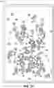 Fig. 16 - Culture Detection and Measurement Over Time