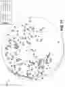 Fig. 18 - Culture Detection and Measurement Over Time