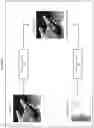 Fig. 07 - DISTINGUISHING AN IMAGE OF A THREE-DIMENSIONAL OBJECT FROM AN IMAGE OF A TWO-DIMENSIONAL RENDERING OF AN OBJECT