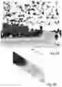 Fig. 05 - Monocular cued detection of three-dimensional structures from depth images