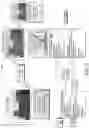 Fig. 03 - Surrogate metadata aggregation for dynamic content assembly