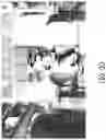 Fig. 07 - Retinal encoder for machine vision