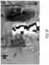 Fig. 09 - Retinal encoder for machine vision