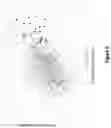 Fig. 06 - Machine learning system for identifying potential escalation of customer service requests