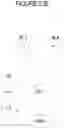 Fig. 29 - Self-organizing partially ordered networks