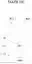Fig. 30 - Self-organizing partially ordered networks