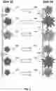 Fig. 03 - Individual plant recognition and localization