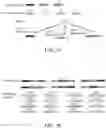 Fig. 03 - Nucleic acid-based data storage