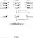Fig. 10 - Nucleic acid-based data storage