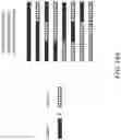 Fig. 24 - Nucleic acid-based data storage