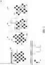Fig. 03 - Quantum circuit topology selection based on frequency collisions between qubits
