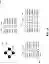 Fig. 08 - Quantum circuit topology selection based on frequency collisions between qubits