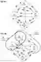 Fig. 05 - Location dimension reduction using graph techniques