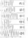 Fig. 09 - Machine learning based generation of ontology for structural and functional mapping