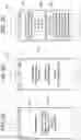 Fig. 04 - System and method for coordinating transactions involving cashless wagering accounts and gaming establishment retail accounts