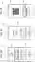 Fig. 05 - System and method for coordinating transactions involving cashless wagering accounts and gaming establishment retail accounts