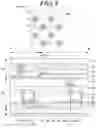 Fig. 06 - Display panel and display device